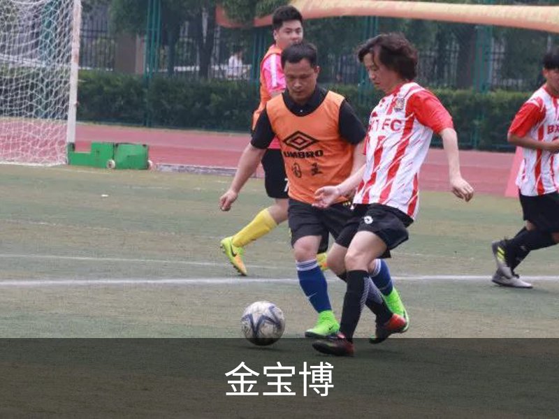 关于金宝博